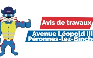 Avis Péronnes